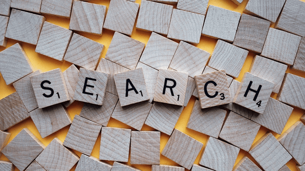 Twitter user search: how to find X accounts by bio and tweets