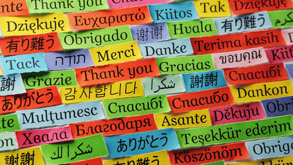 Twitter follower languages: what a competitor's audience split shows on X