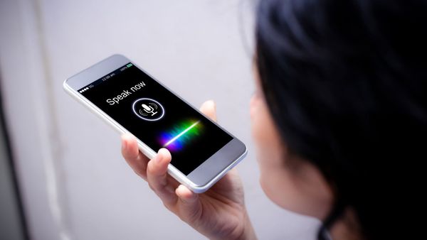 Register your business for voice search: what Google Assistant, Siri and Alexa actually read