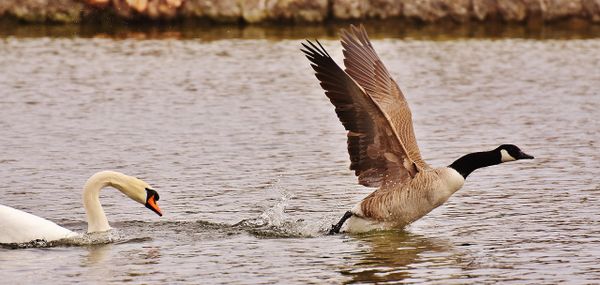 Track Your Twitter Account in 3 Easy Steps