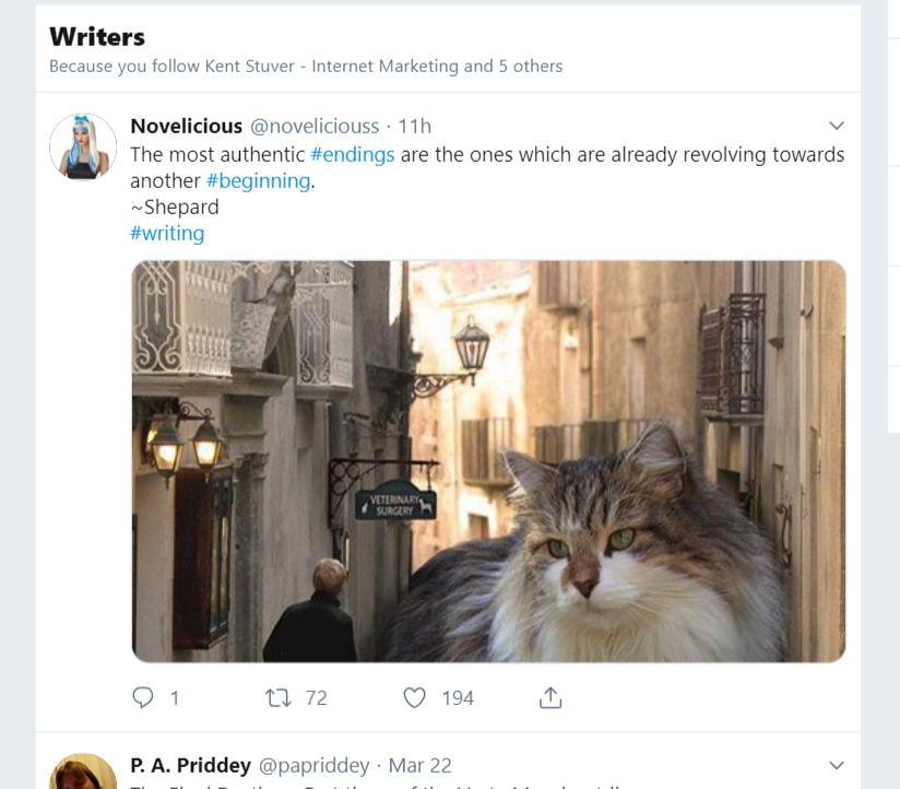 how to follow a hashtag on Twitter