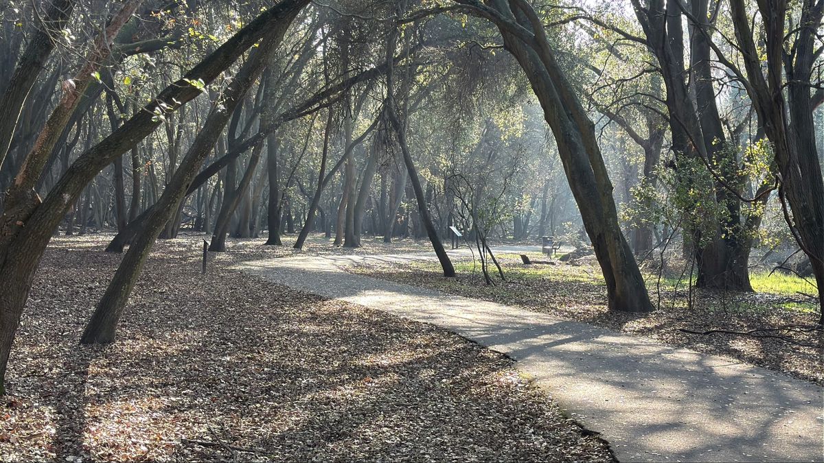 What is [Inferterra]?