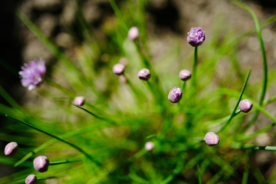Schneidet wie ein Messer