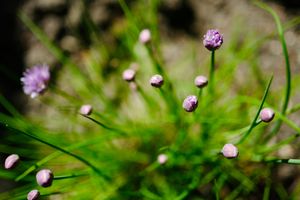 Schneidet wie ein Messer