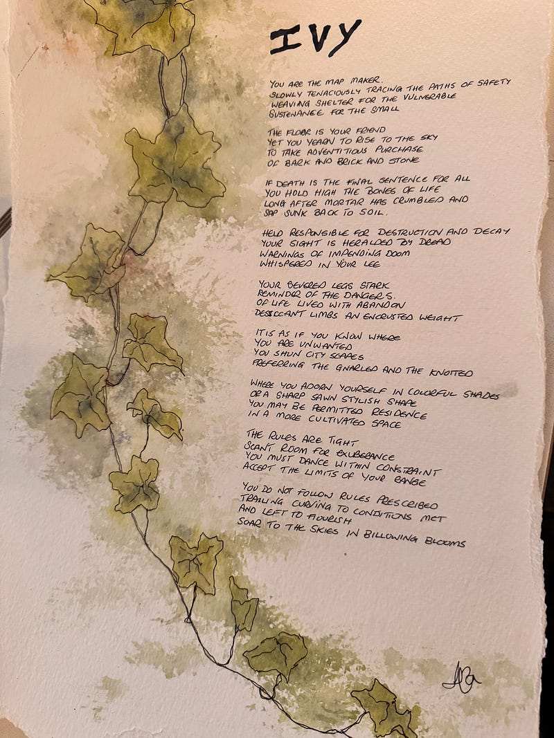 Sarah’s poem with her chosen being Ivy. Includes her illustration of Ivy next to the poem