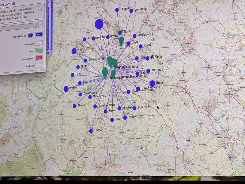 Relational beings mapping live on the big screen in the lab as we mapped together. Map of Dudley with purple dots indicating more-than-human beings