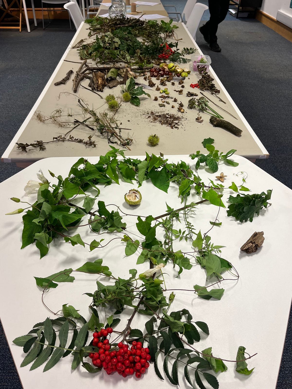 Foraged organic materials from the Leasowes in Dudley