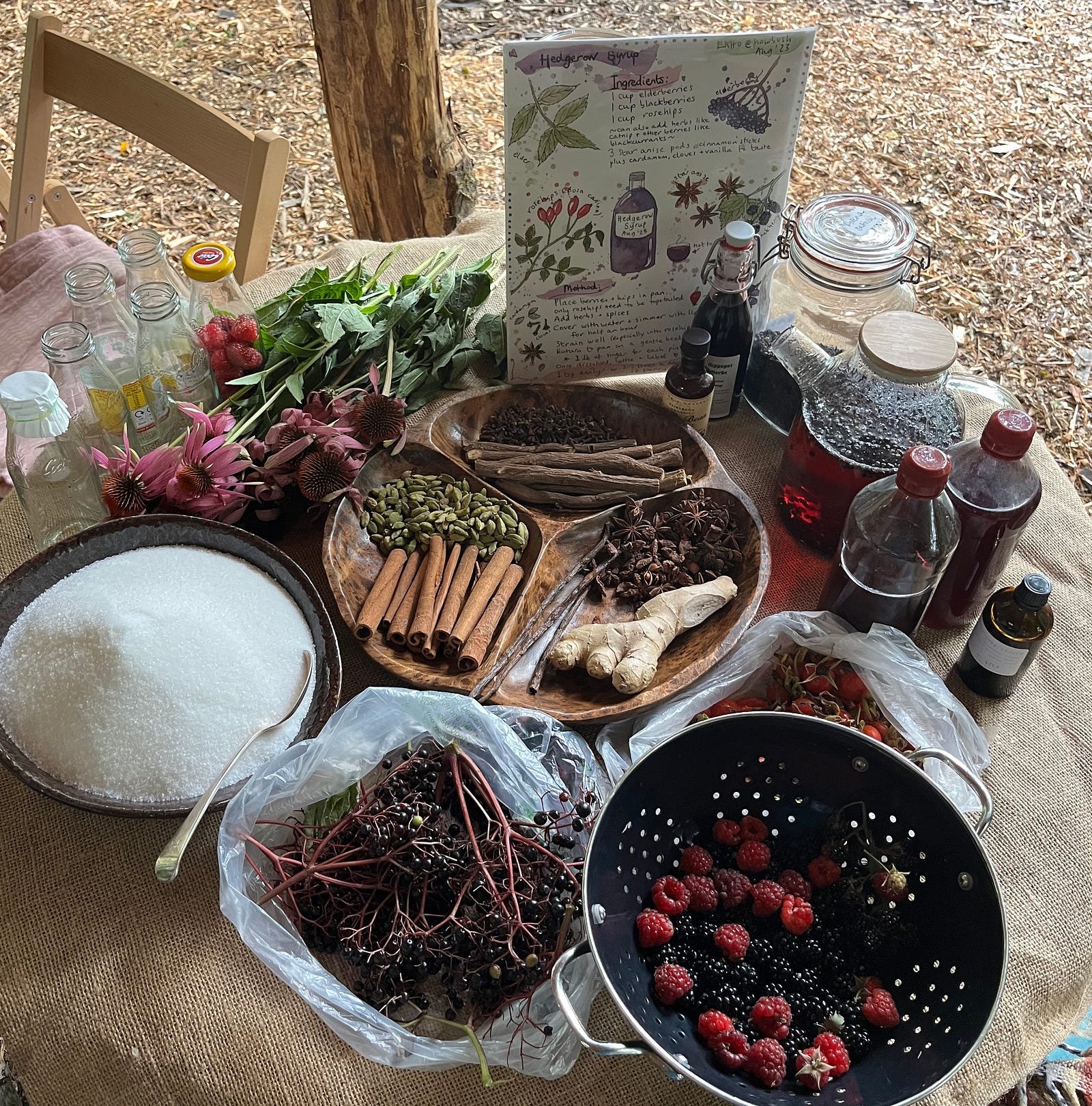 Recipe and ingredients for Hedgerow Syrup