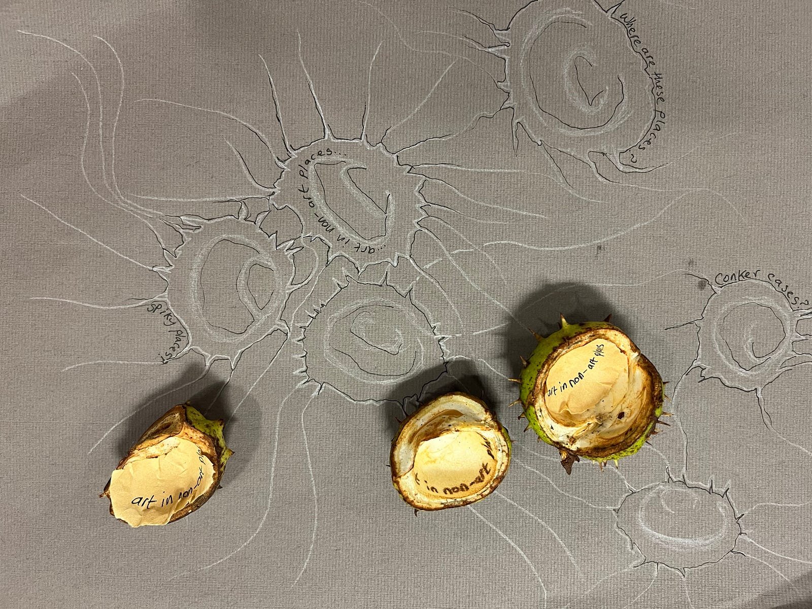 Helen Garbett’s reflections on places we can or do create, inspired by conker cases