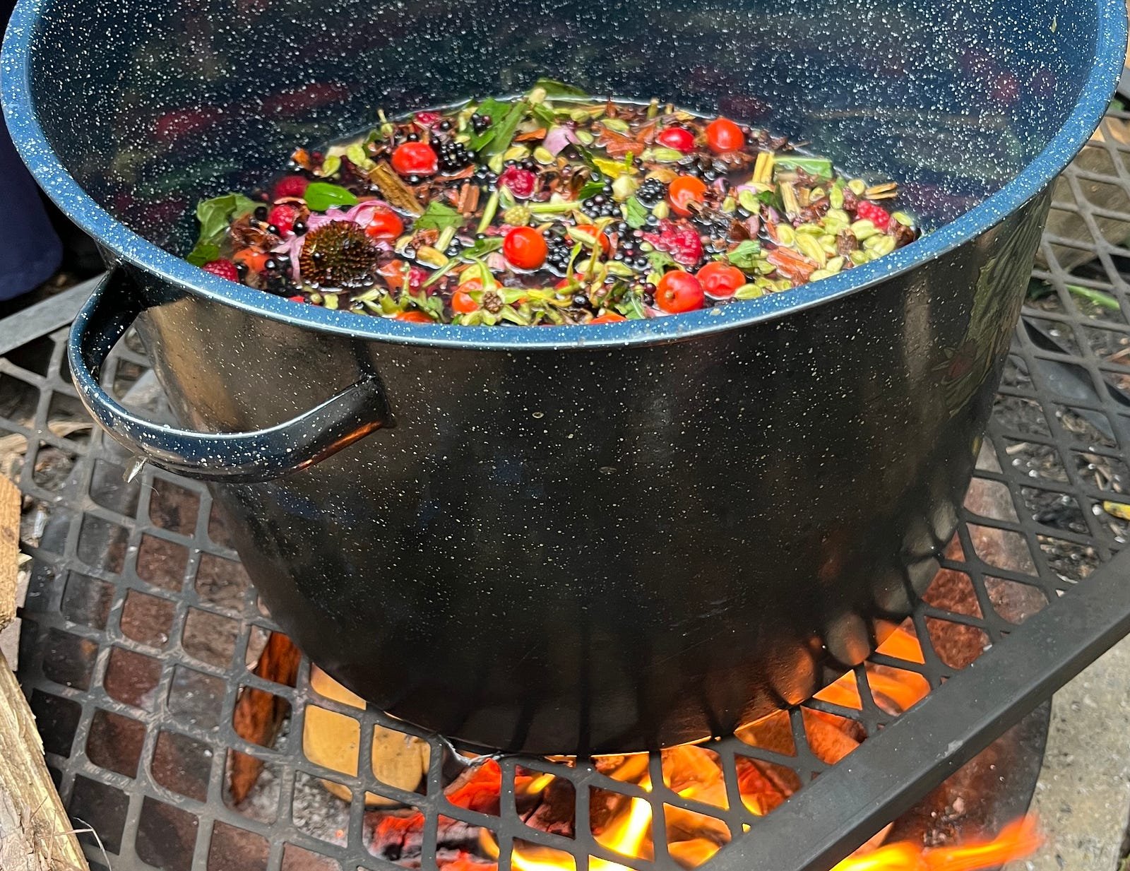 Hedgerow syrup ingredients cooking in a steel pan over an open fire
