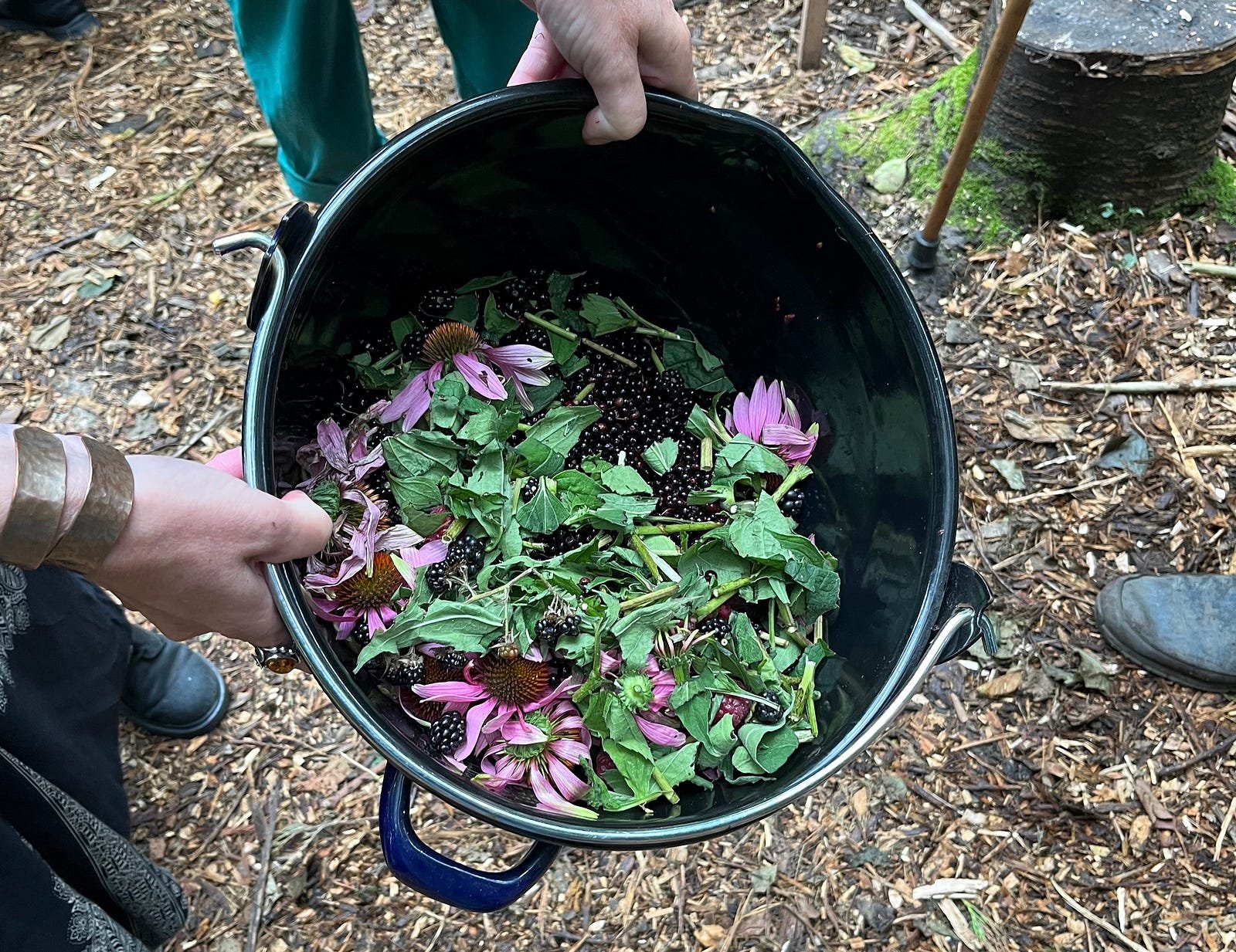 Mixing ingredients for Hedgerow Syrup — I didn’t know you could put entire flowers in like this!