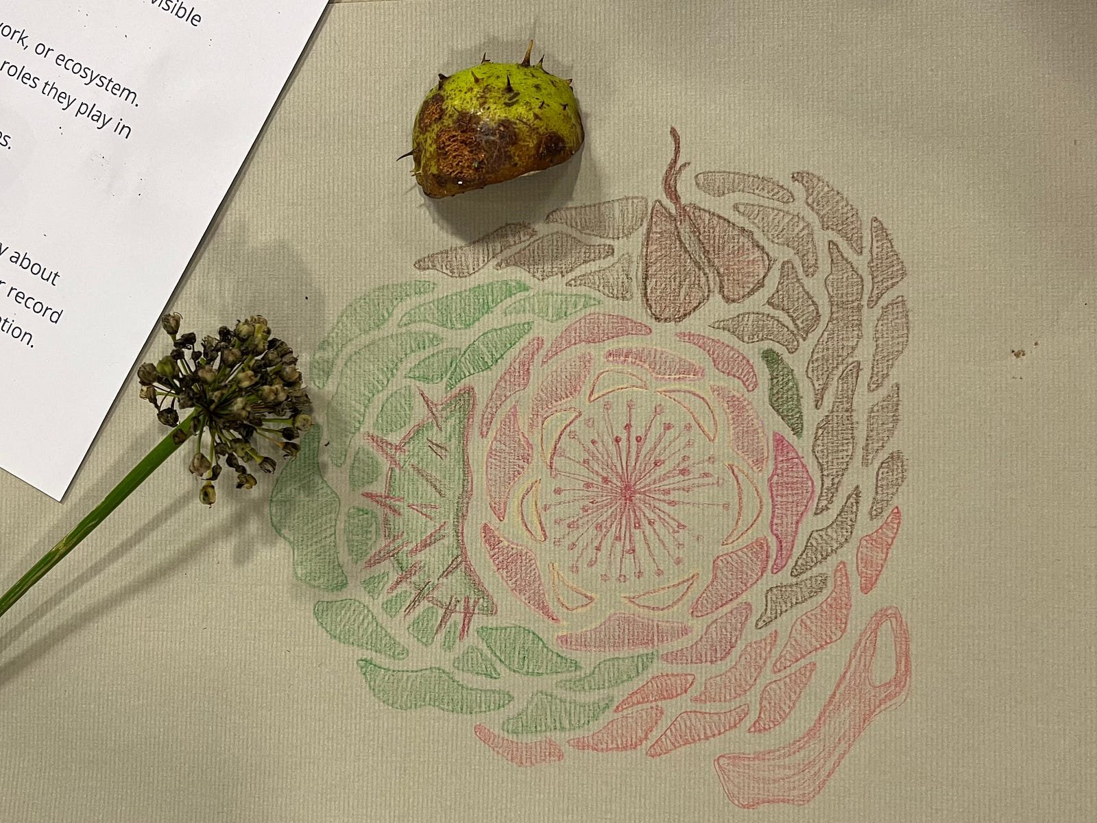 Donna Clarkson’s evolving layers inspired by natural forms