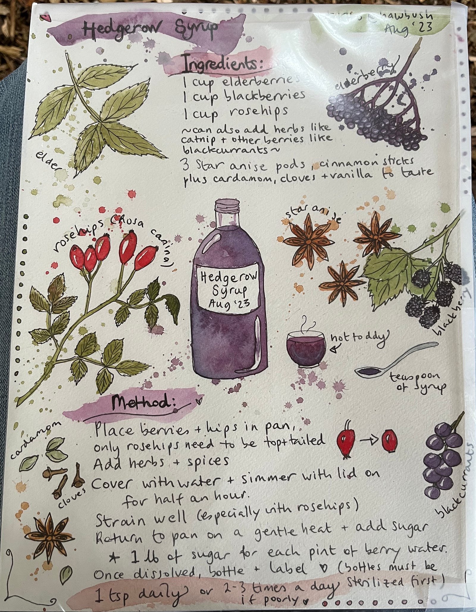 This post also is also being shared on Dudley CVS’s website blog pages and CoLab Dudley’s Lab Notes publication in Medium.
