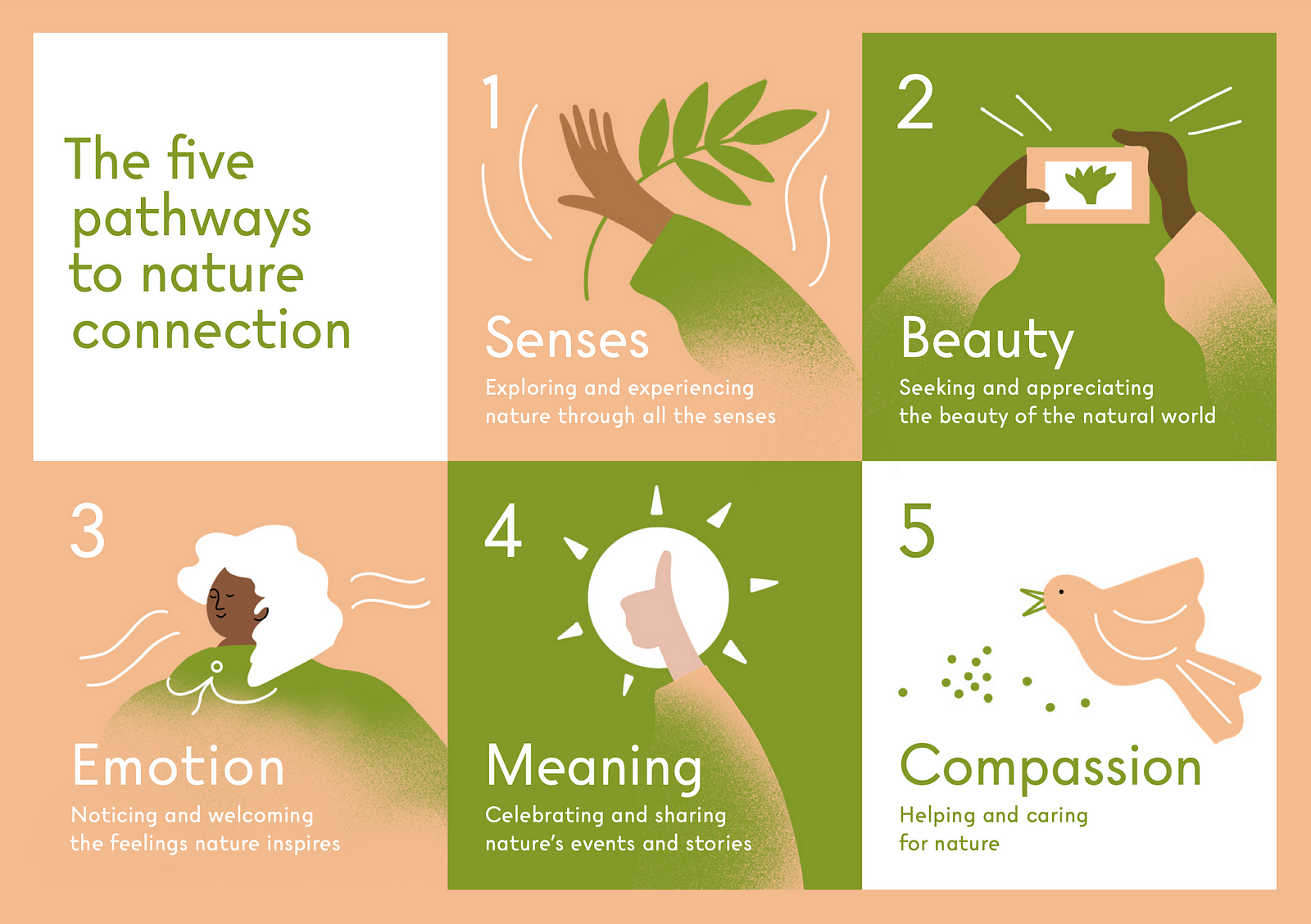 The five pathways to nature connection, from bit.ly/NatureConnectionHandbook