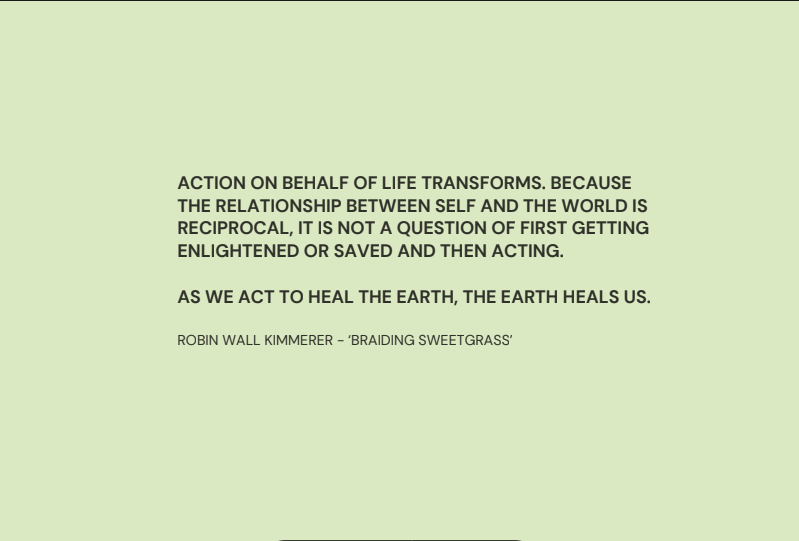 An olive coloured page in Raechel Kelly’s Kith and Kin Living Lab Gift lifting up the wisdom of Robin Wall Kimmerer to reflect upon her observations of the Dudley People’s School for Climate Justice work. The quote reads: “Action on behalf of life trnasforms becasue the relationship between self and the wrold is reciprocal. It is not a question of first getting enlightended or saved and then acting. As we act to heal the earth, the earth heals us.”