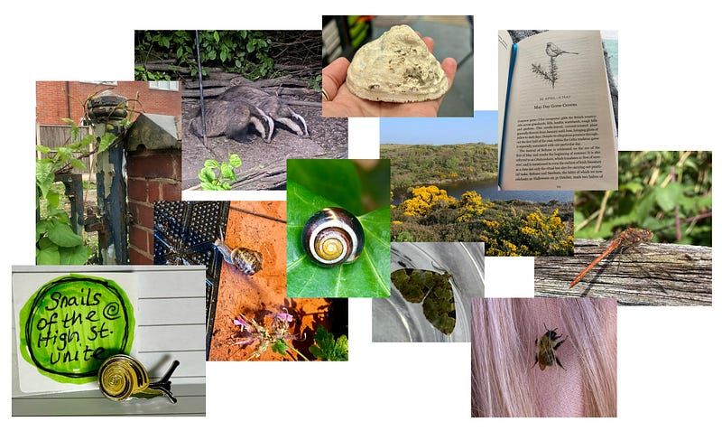 What helps, or could help, us to connect as part of Nature and place?