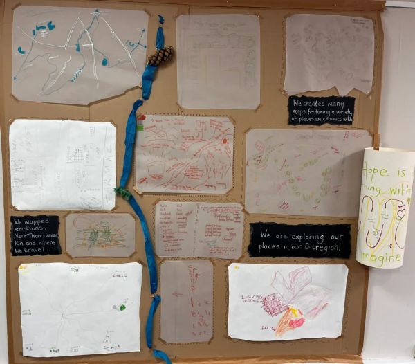 Initiating a Bioregional Learning Network in Dudley