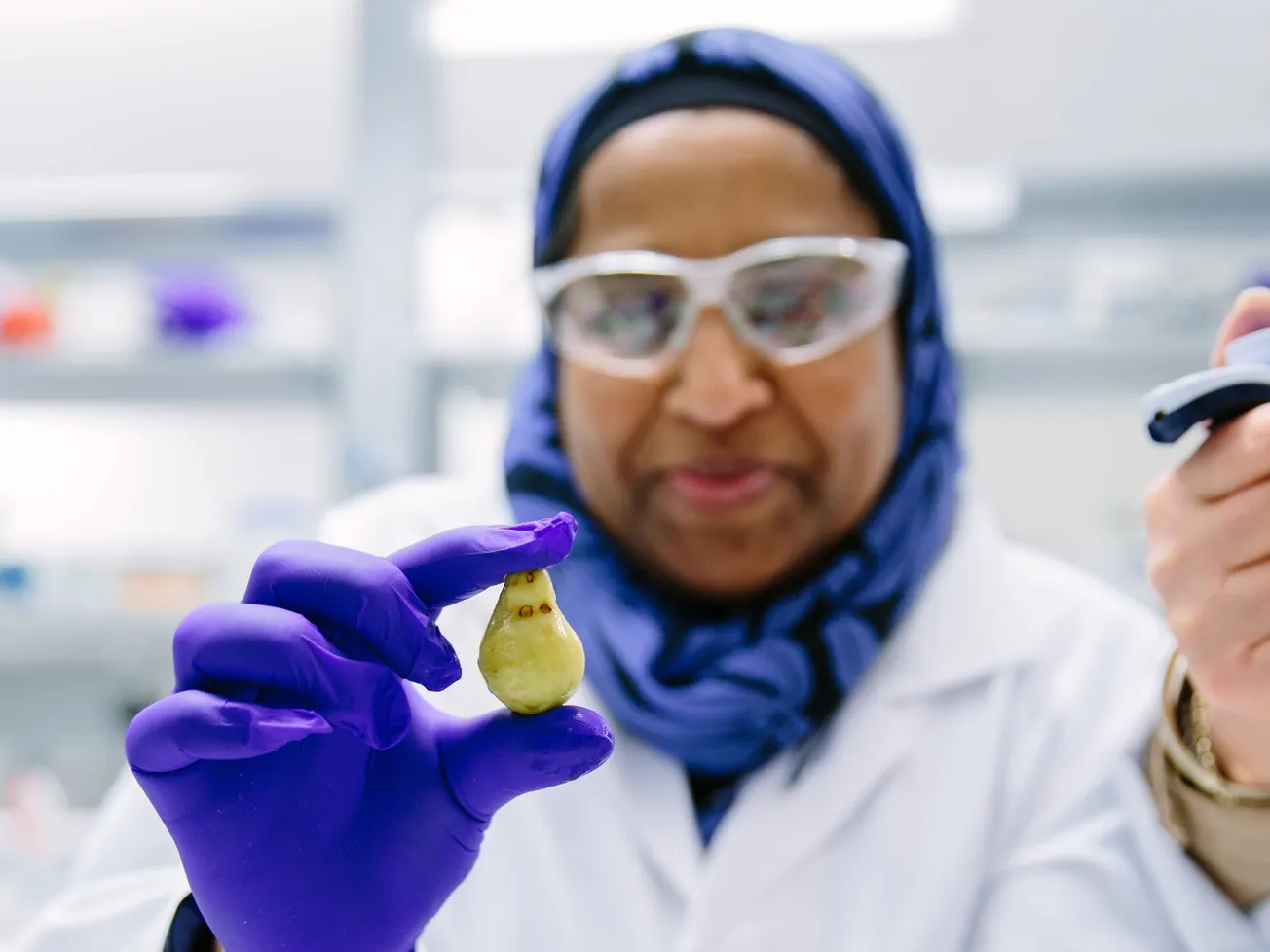 How uniquely Australian foods could help us diversify our diet