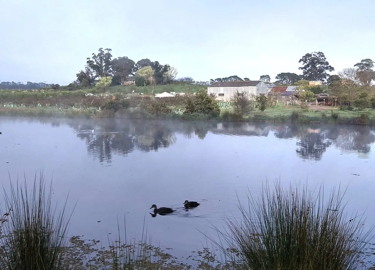 The Heritage Fruits Society at Petty’s Orchard