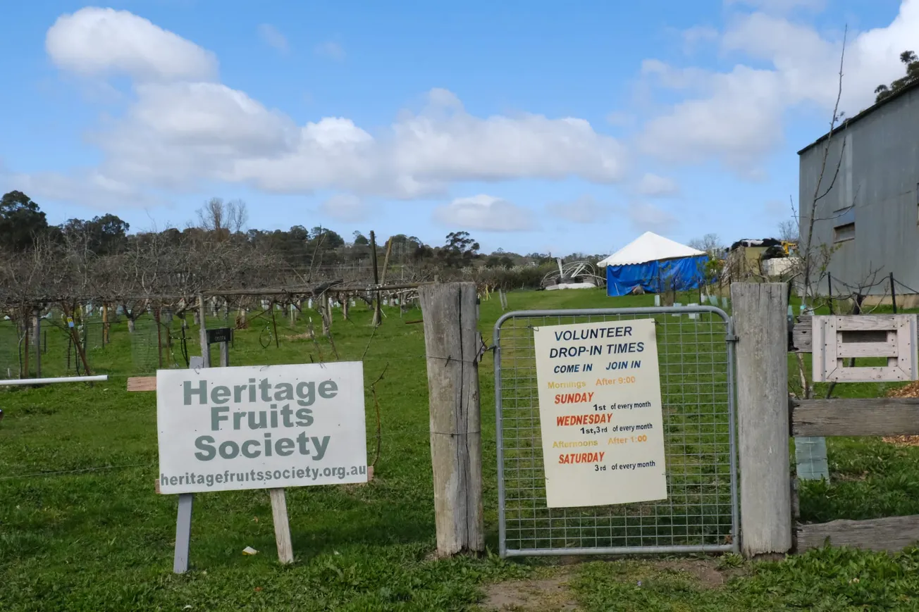 Where Apples Meet the Yarra: The Heritage and Ecology of Petty’s Orchard