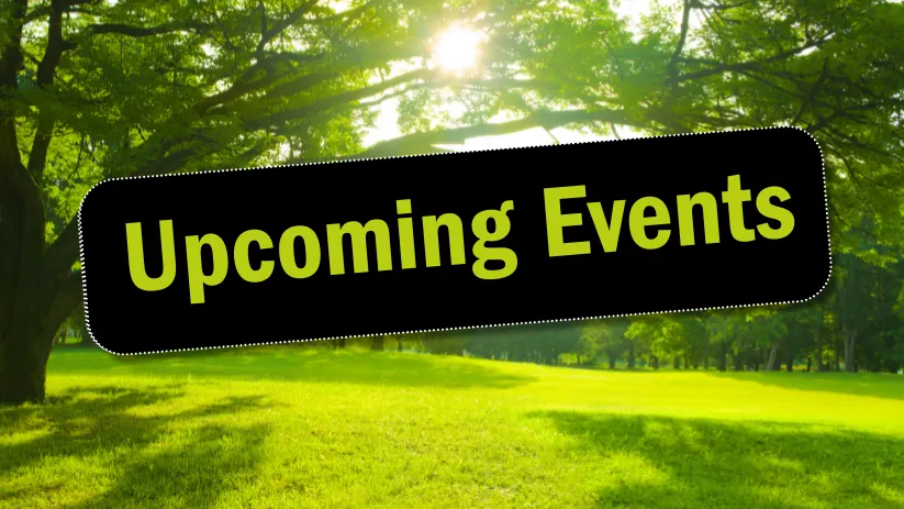 Upcoming Events in November