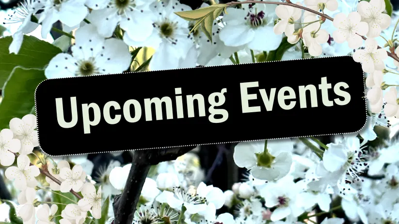 Upcoming Events in October