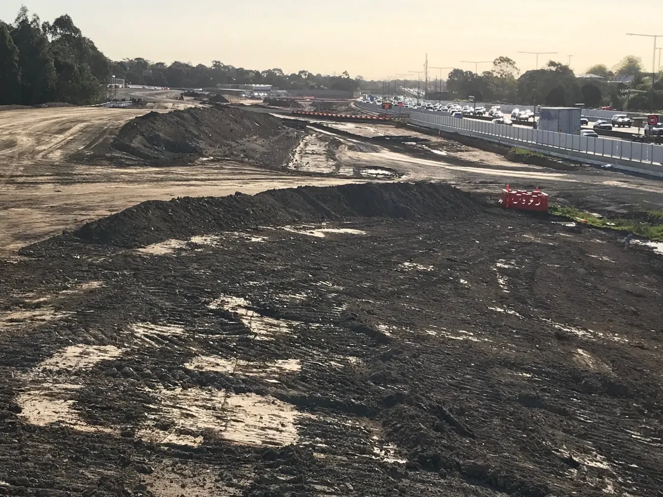 Losing trees left and right