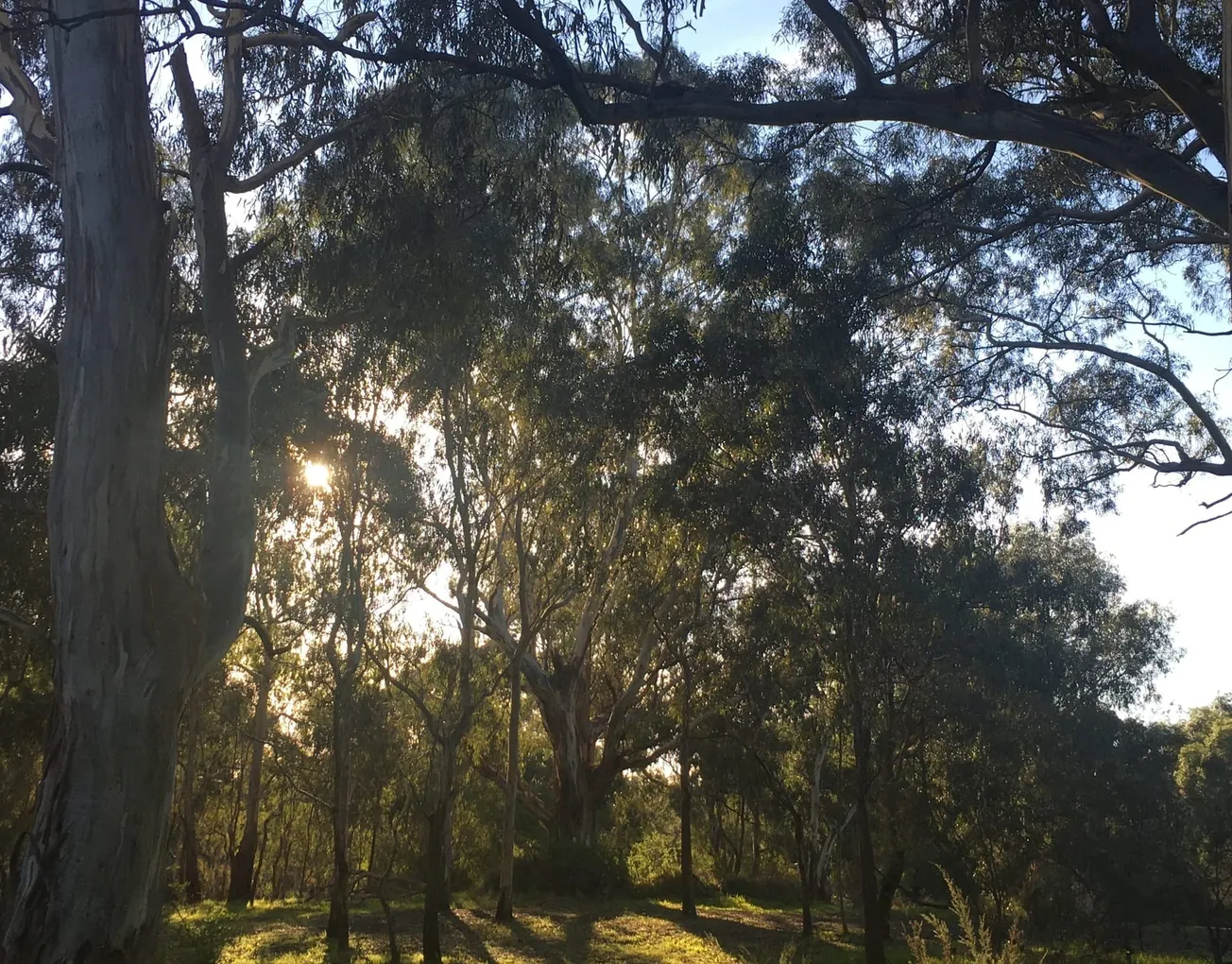 直到失去，我们才懂得珍惜