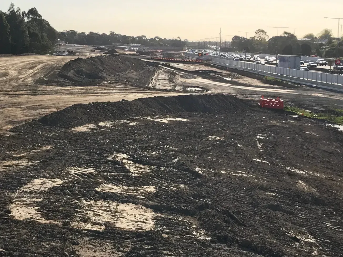 树，正在一点点消失