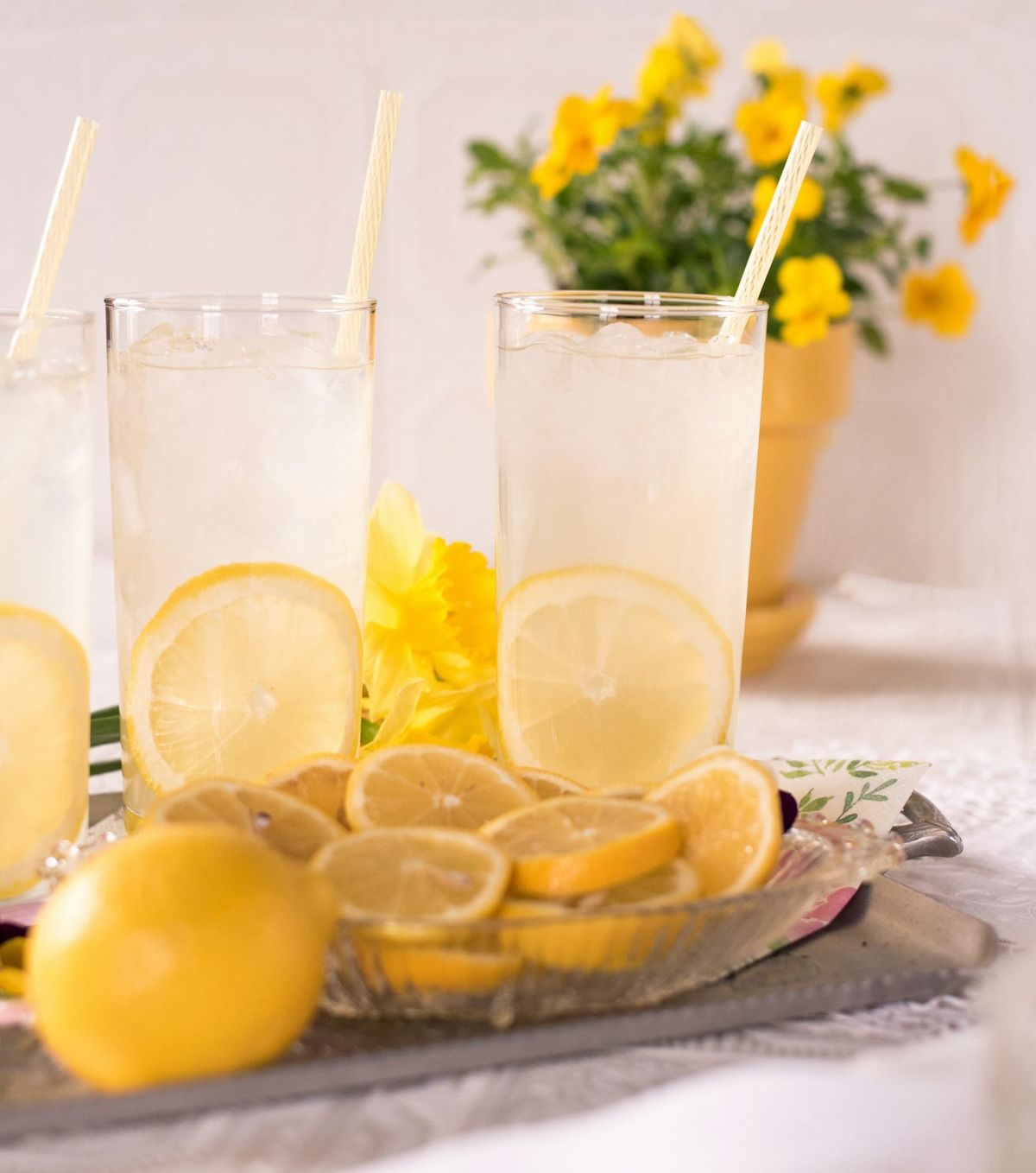 Mount Shasta Organics: Making (Organic) Lemonade Out of Data Center Lemons