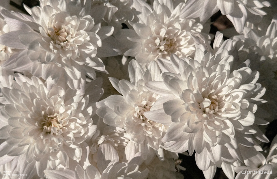 10 (black & white) gems to collect this week