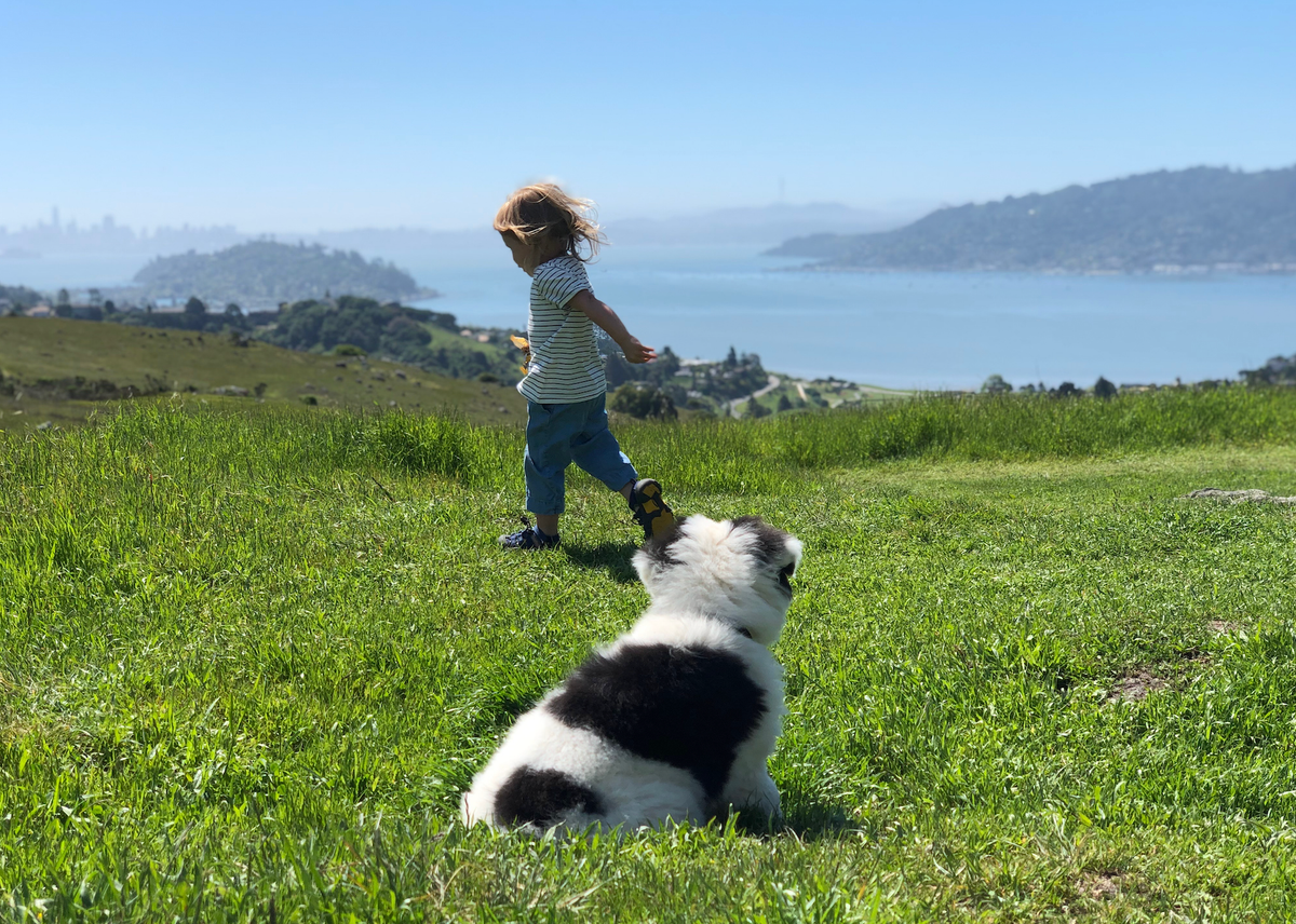 Marin to be Hit Least-Hard by Whatever Happening in World, Experts Say