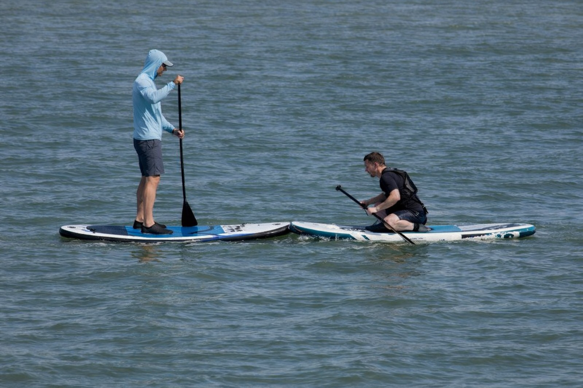 Zero Dead, None Hurt in Head-On Collision