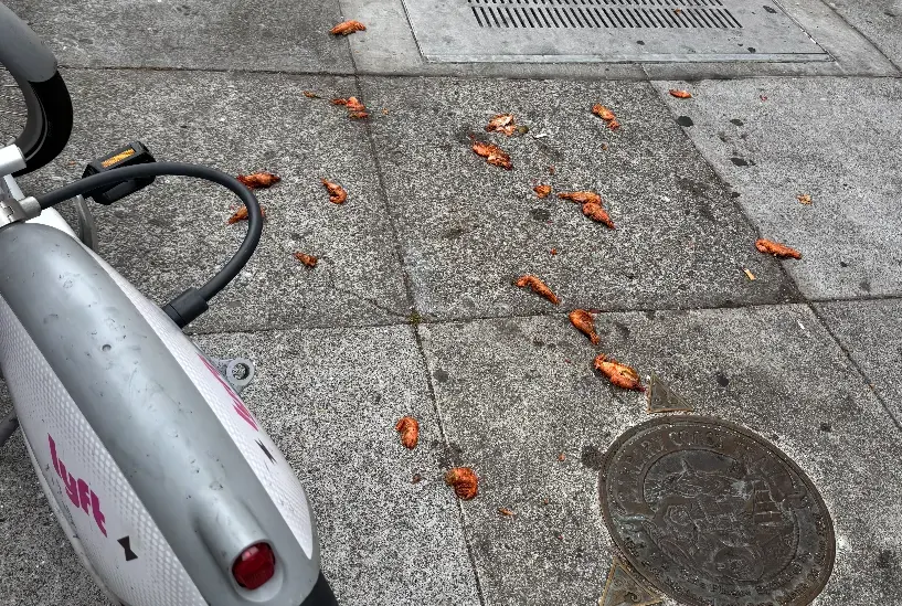 Mayor Lurie Promised There Would Be Less Shrimp on City Streets. These Photos Tell a Different Story