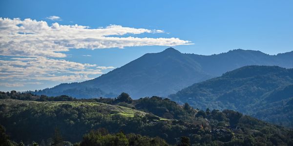 Marin’s Summer 2025 Offering Falls Short of Expectations for Region’s Weather Connoisseurs