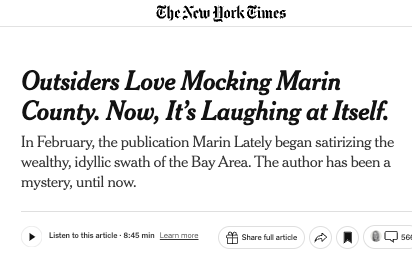 Addressing the Allegations