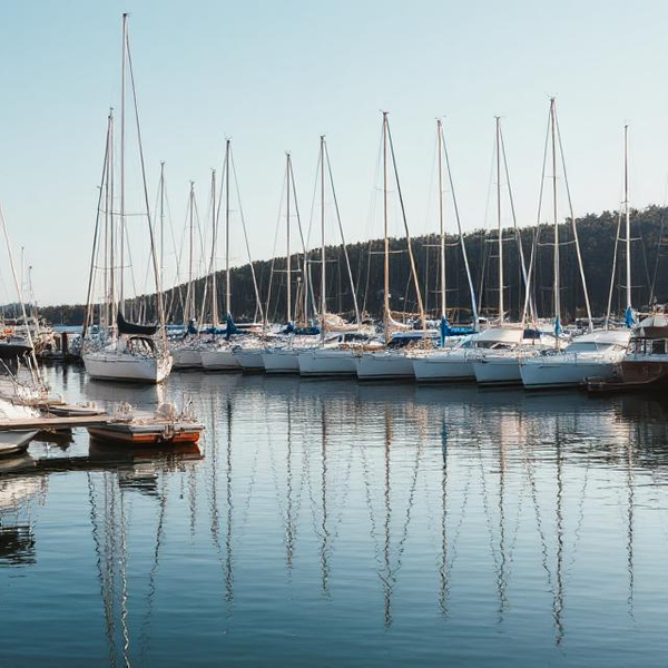 Tiburon Still Boring