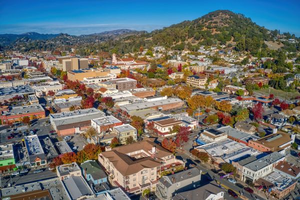San Anselmo Father, Son Survive Harrowing Visit to Downtown San Rafael