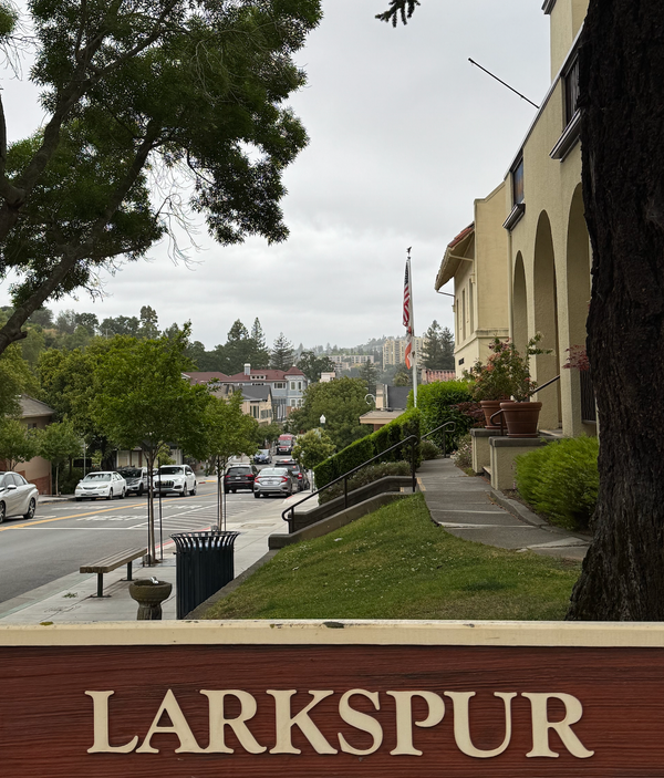 Downtown Larkspur Great Place to Open Doomed Local Business