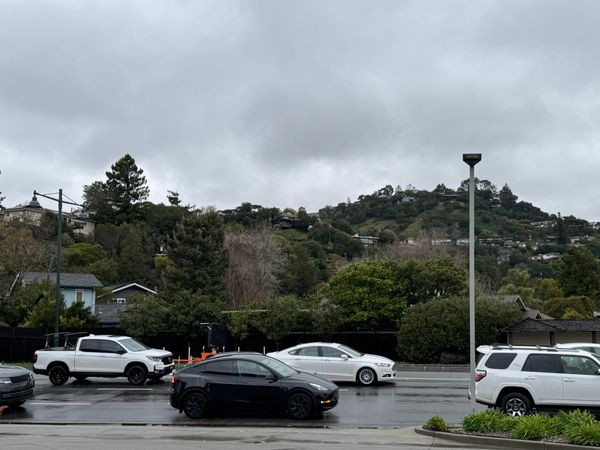 Greenbrae Passed Through on Way to Somewhere Else