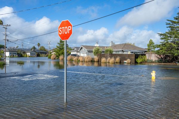Mother Nature Actually Kind of a Bitch