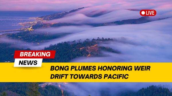 Bob Weir Tributes Continue to Waft Out of Marin County