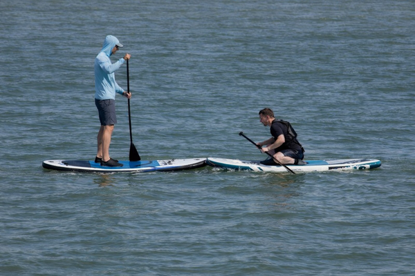 Zero Dead, None Hurt in Head-On Collision