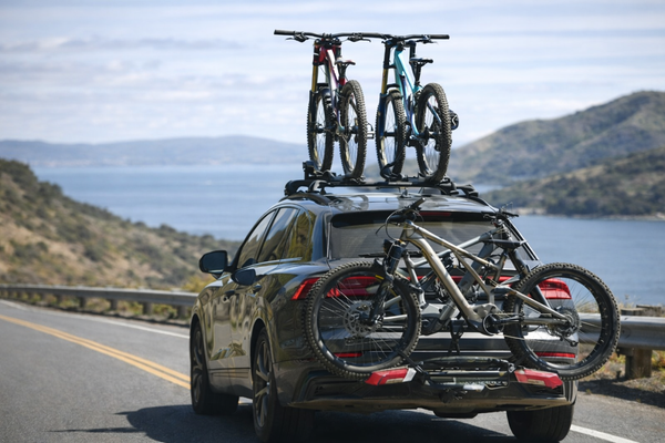 Nature Addiction Linked to Millions in Losses Over Lifetime