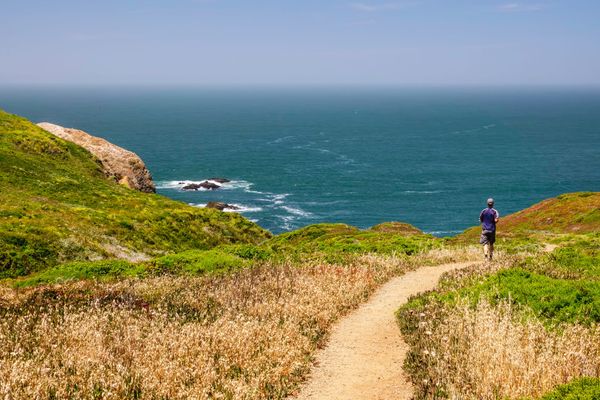 Hiker in Headlands Accidentally Enjoying Seminal NIMBY Victory