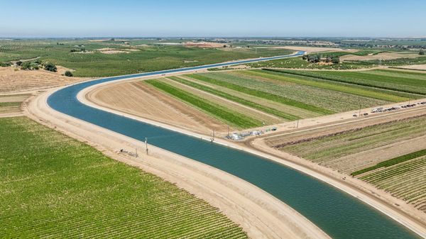 Marin Lately: Alive from Modesto