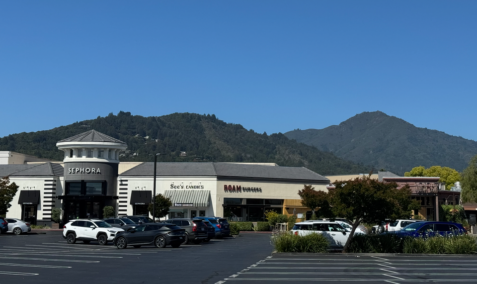 Marin Literally: Bed Bath and Beyond our Wildest Dreams