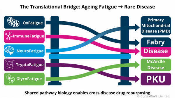 The Ageing Fatigue Pipeline Stalled. Here Is Why.