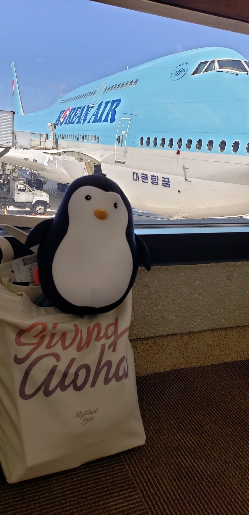A bag on the ground that says "Giving Aloha" with a penguin stuffy on top. Out of the window is a Korean Air airplane.