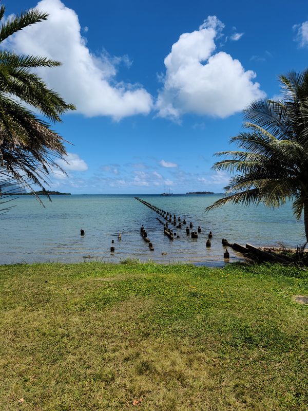 Pier posts lined up from a grassy shore into a bay, flanked by palm trees, with a three-masted small ship on the horizon.